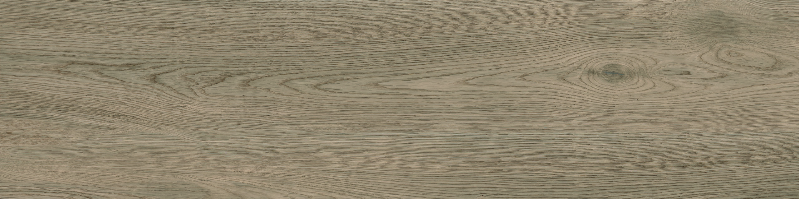 30X120_FOREST_GREIGE_2