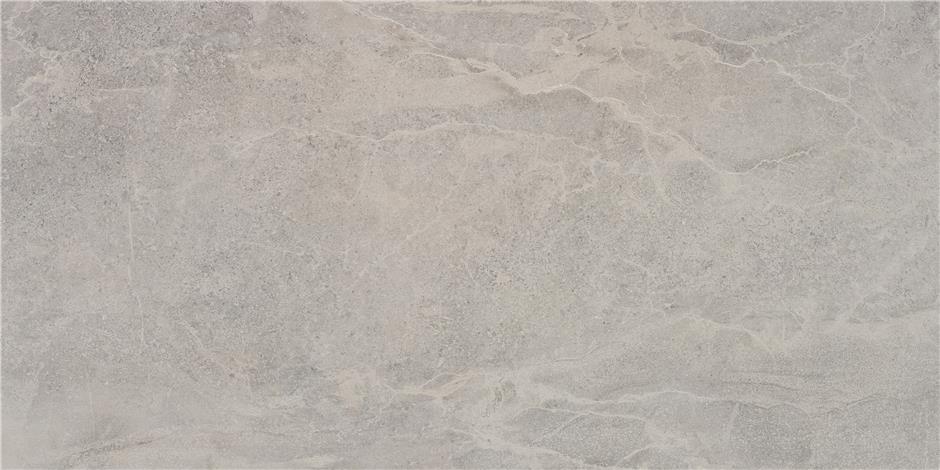 LITHOS GREY MT 60X120 RECT.
